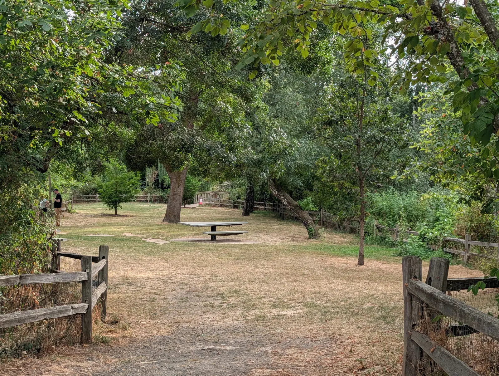 Open dry-grass clearing in Johnson Creek Park lined with split-rail fencing and shaded by mature trees, with a picnic table at its center and a wooden footbridge in the distance
